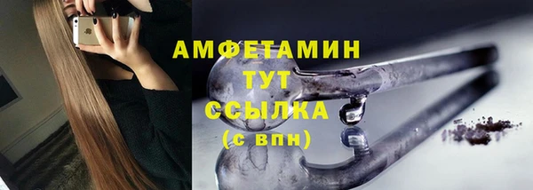 шишки Балабаново