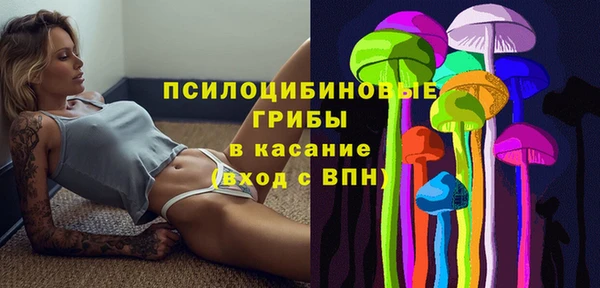 винт Армянск