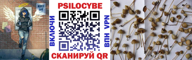 Псилоцибиновые грибы Psilocybe  как найти закладки  Лукоянов 
